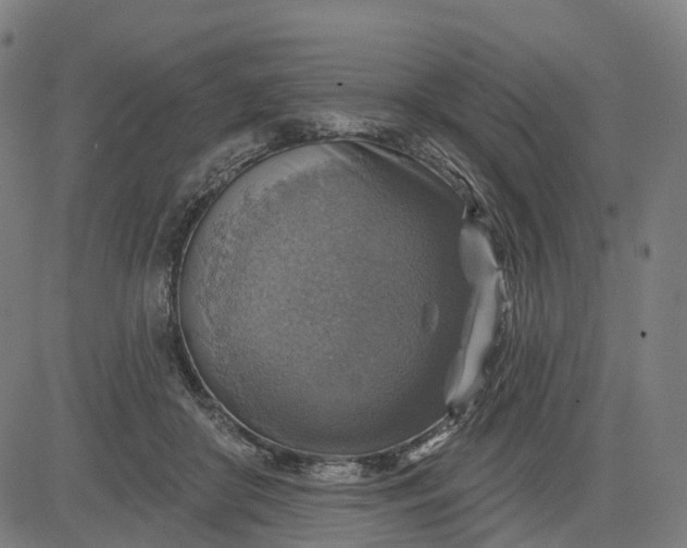 X0000084540410200703091659