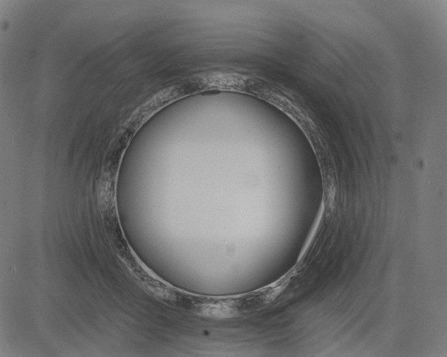 X0000084540411200703091659