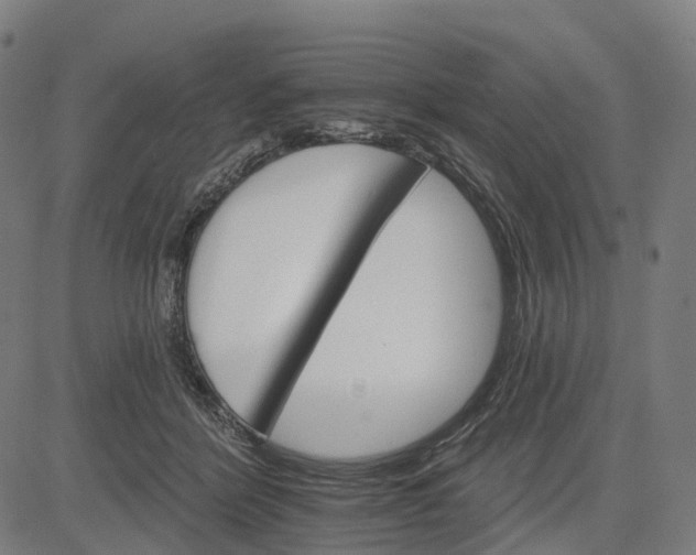 X0000084540412200703091659