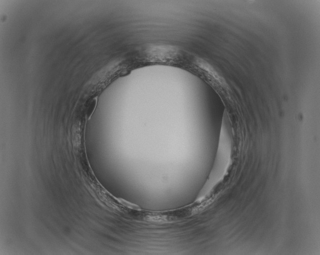 X0000084540413200703091659