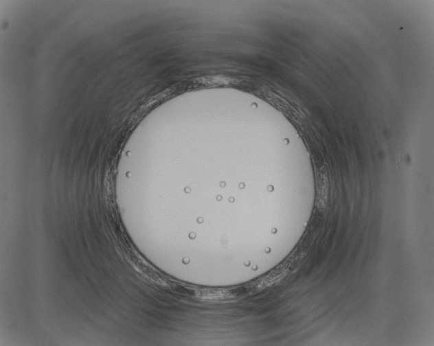 X0000084540414200703091659