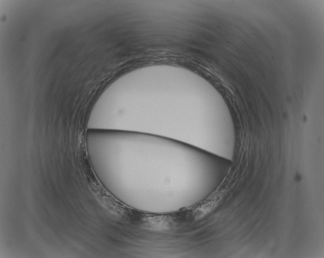 X0000084540417200703091659