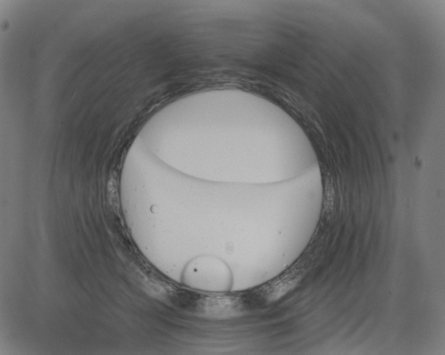 X0000084540418200703091659