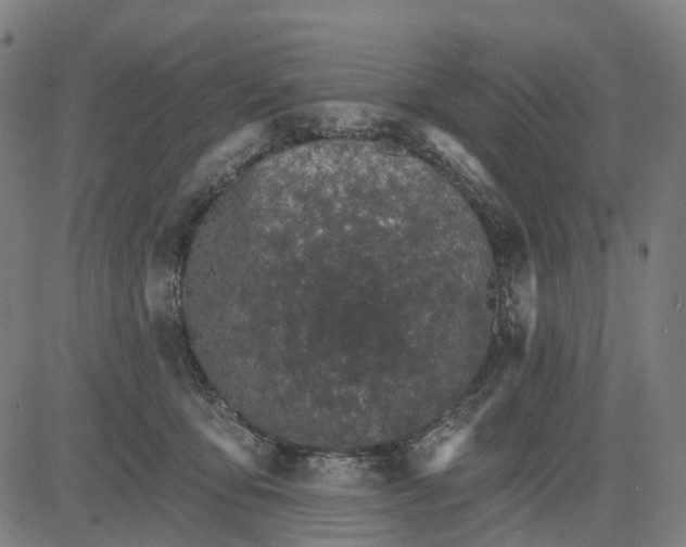 X0000084540419200703091659