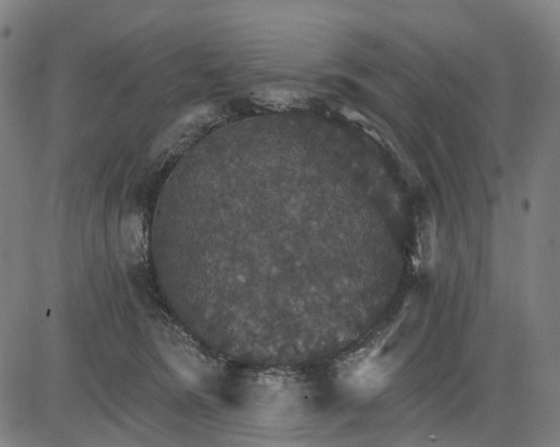 X0000084540420200703091659