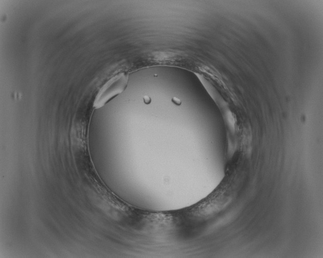 X0000084540421200703091659