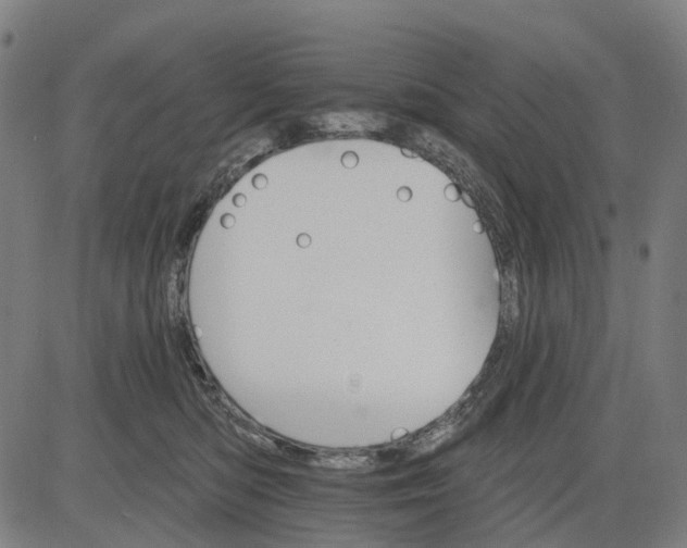 X0000084540422200703091658