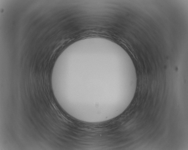 X0000084540423200703091658