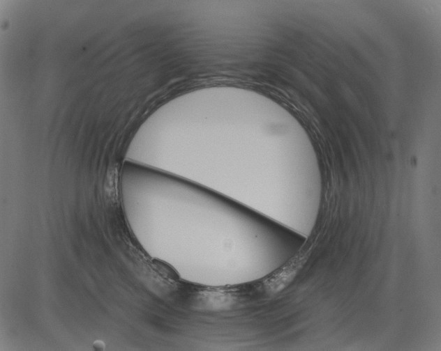 X0000084540425200703091658