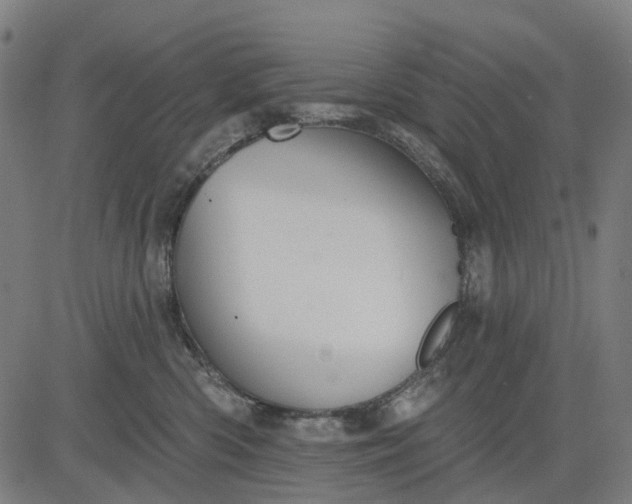 X0000084540426200703091658