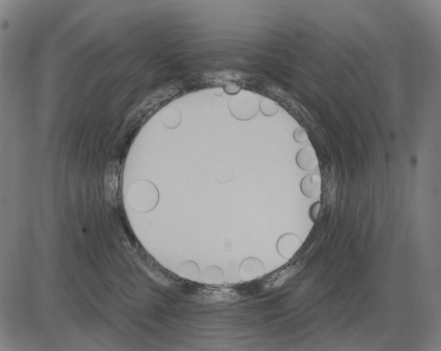 X0000084540427200703091658