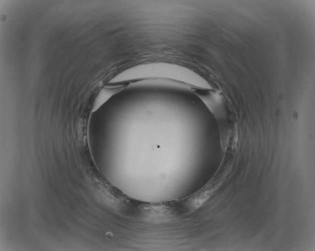 X0000084540428200703091658