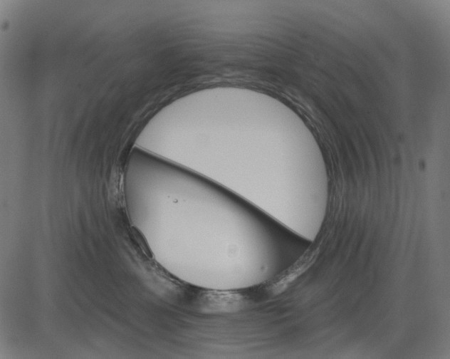 X0000084540429200703091658