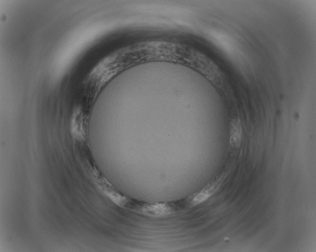 X0000084540431200703091658