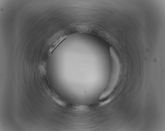 X0000084540432200703091658