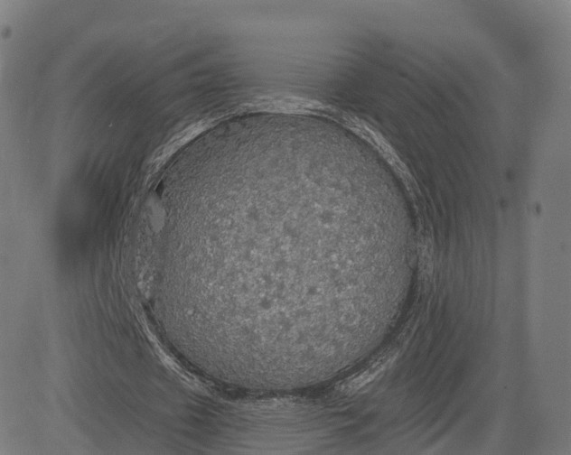 X0000084540433200703091658