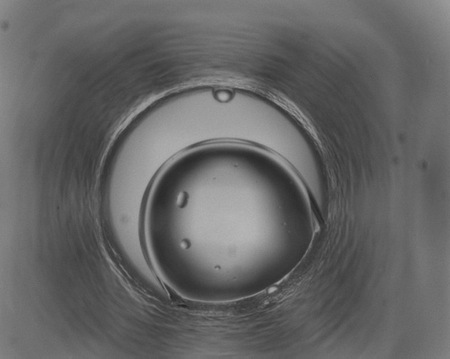 X0000084540436200703091658