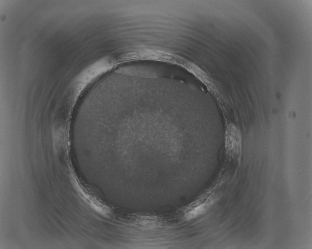 X0000084540438200703091658