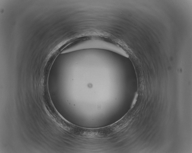 X0000084540440200703091658