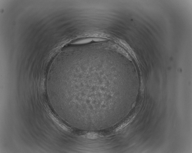 X0000084540441200703091658