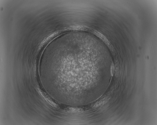 X0000084540442200703091658