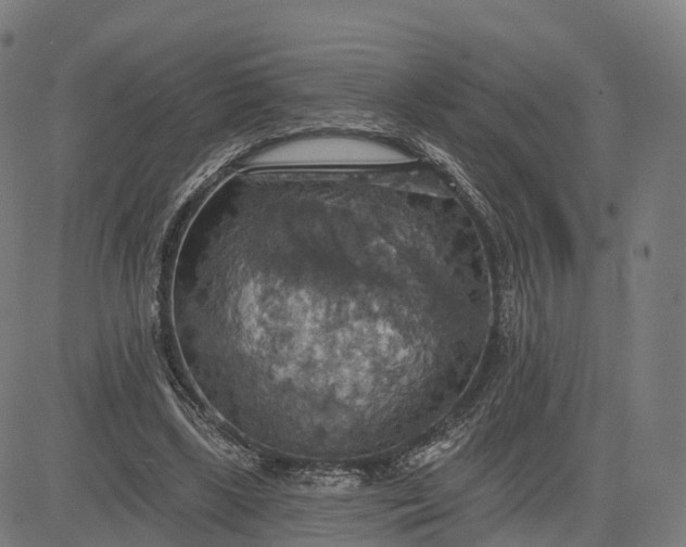 X0000084540443200703091658