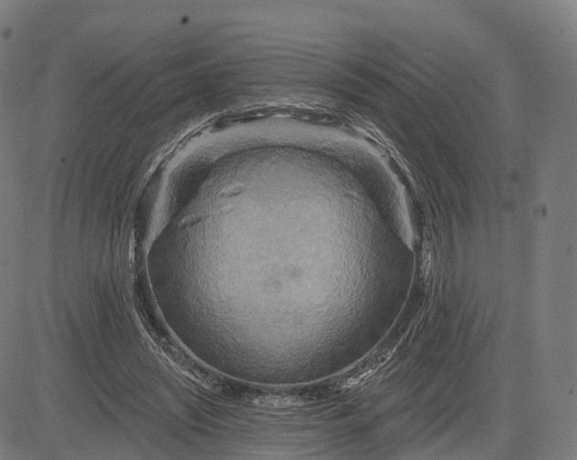 X0000084540444200703091658