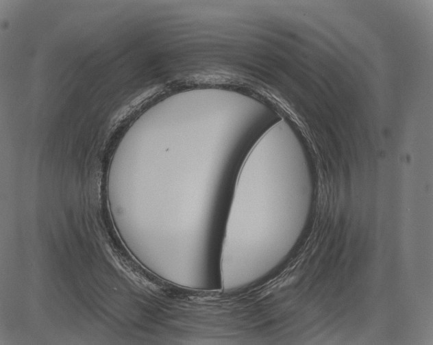 X0000084540446200703091658