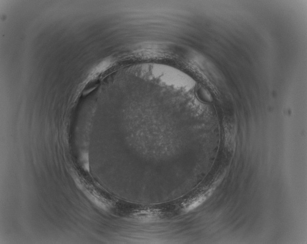 X0000084540447200703091658