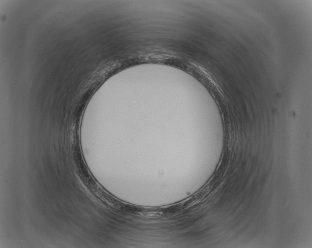 X0000084540451200703091658