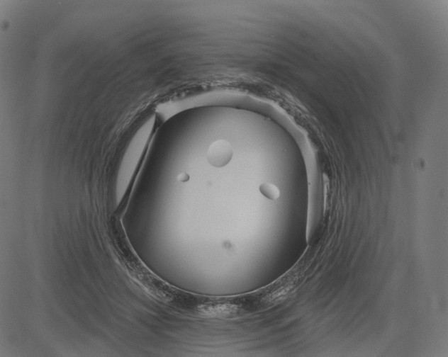 X0000084540452200703091658