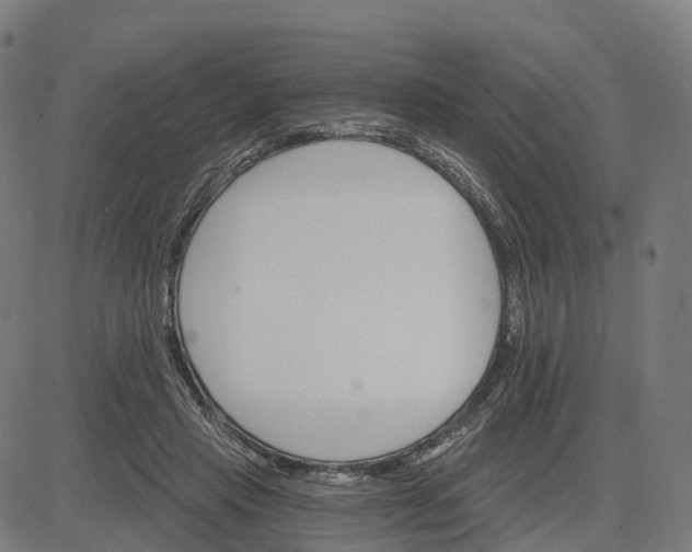 X0000084540453200703091658