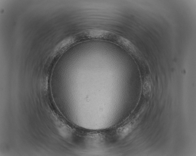 X0000084540454200703091658