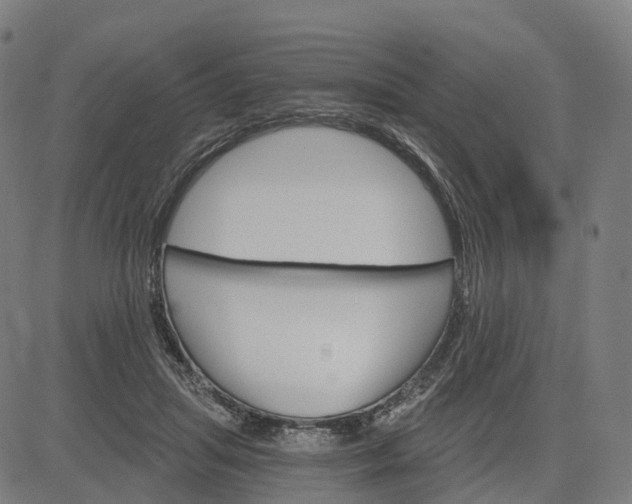 X0000084540455200703091658