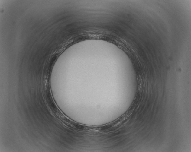 X0000084540456200703091658