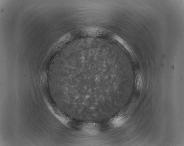 X0000084540459200703091658