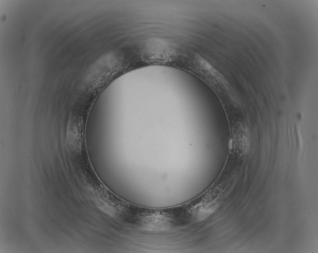 X0000084540460200703091658