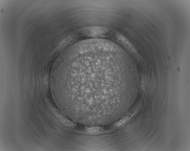 X0000084540461200703091658