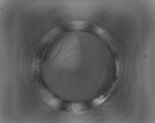 X0000084540462200703091658