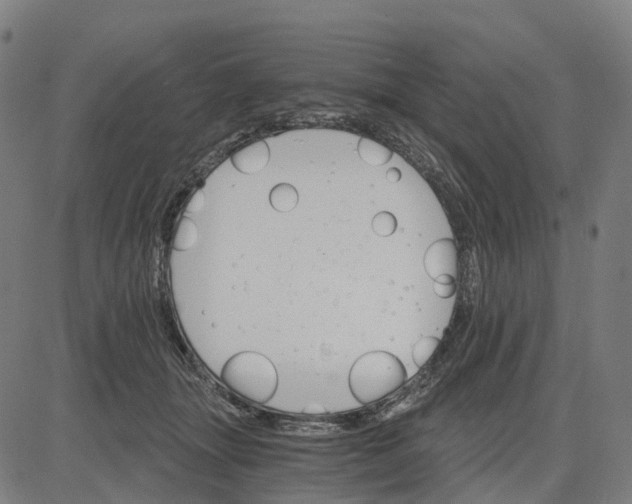 X0000084540463200703091658