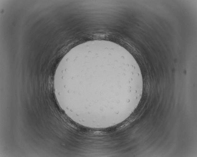 X0000084540467200703091658