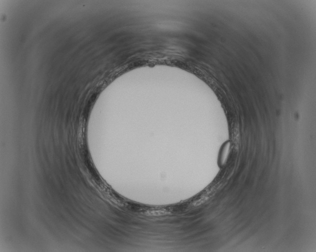 X0000084540468200703091658