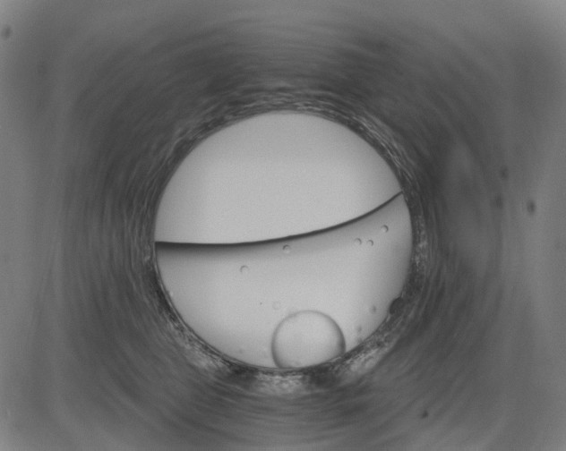 X0000084540469200703091658