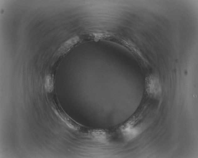 X0000084540471200703091658