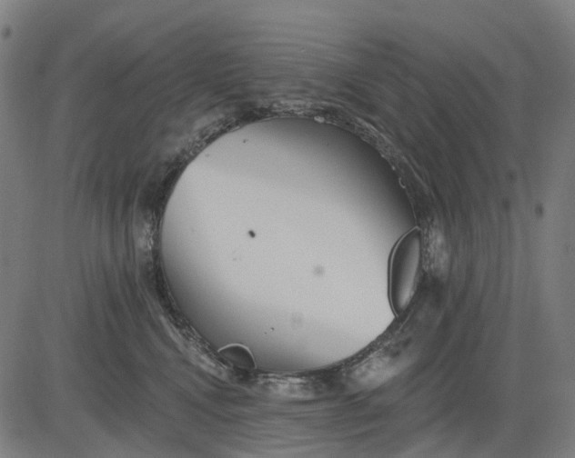 X0000084540472200703091658