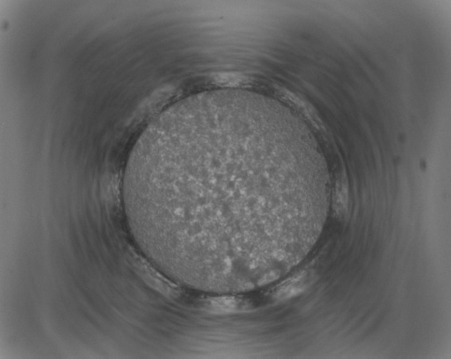 X0000084540473200703091658