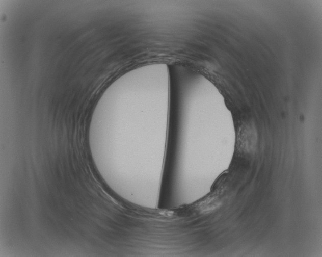 X0000084540474200703091658