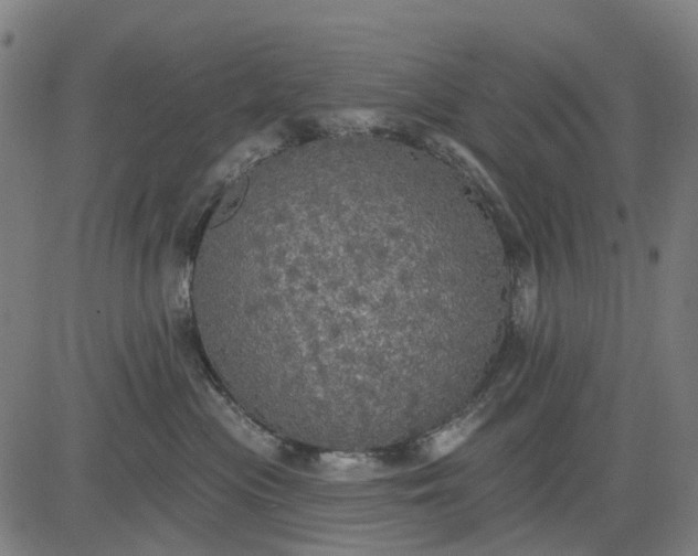 X0000084540477200703091658