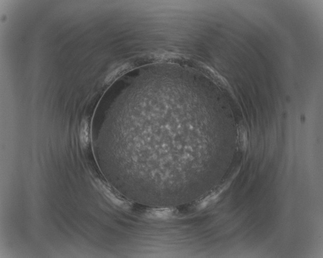 X0000084540479200703091658