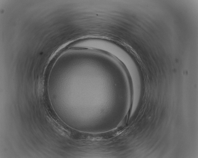 X0000084540484200703091657